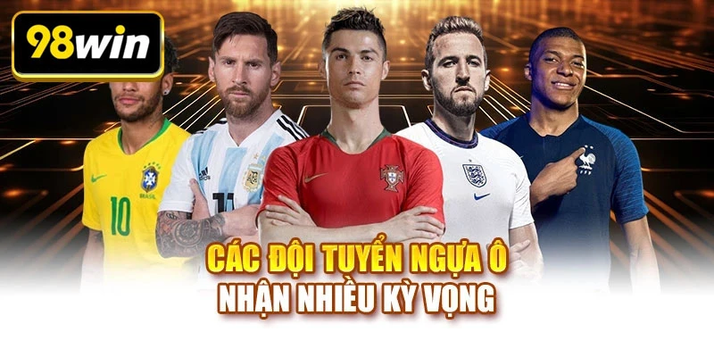 Các đội tuyển ngựa ô nhận nhiều kỳ vọng